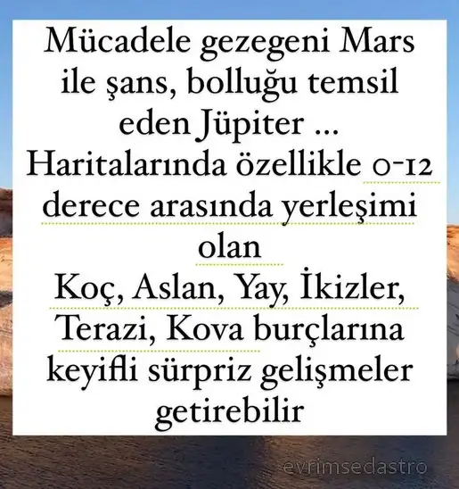 balık9 (2).webp
