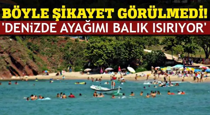 balik_isiriyor.webp