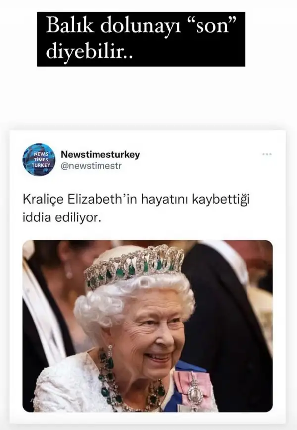 balıkk99 (1).webp