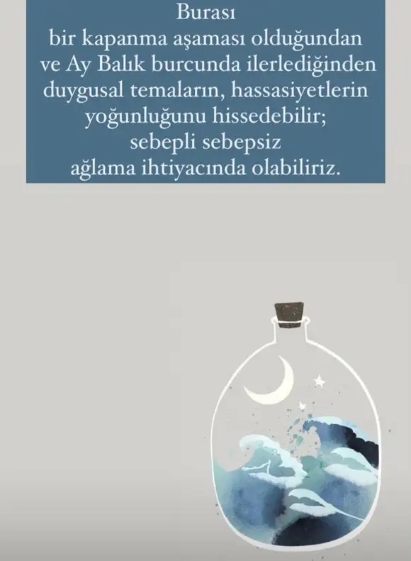 balıkyeniayı 19 (2).webp