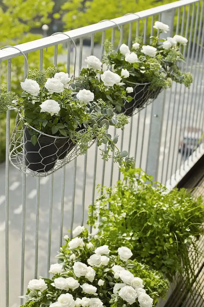 balkon_cicek_Cesitleri.jpg
