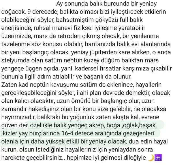 balyen1 (2).webp