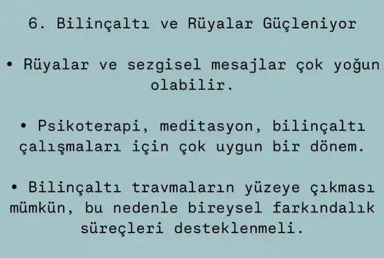 balyen2 (8).webp