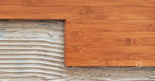 bambu-parke-bakimi_646x340.webp