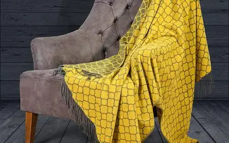 Baroque_Sari-450x281.webp