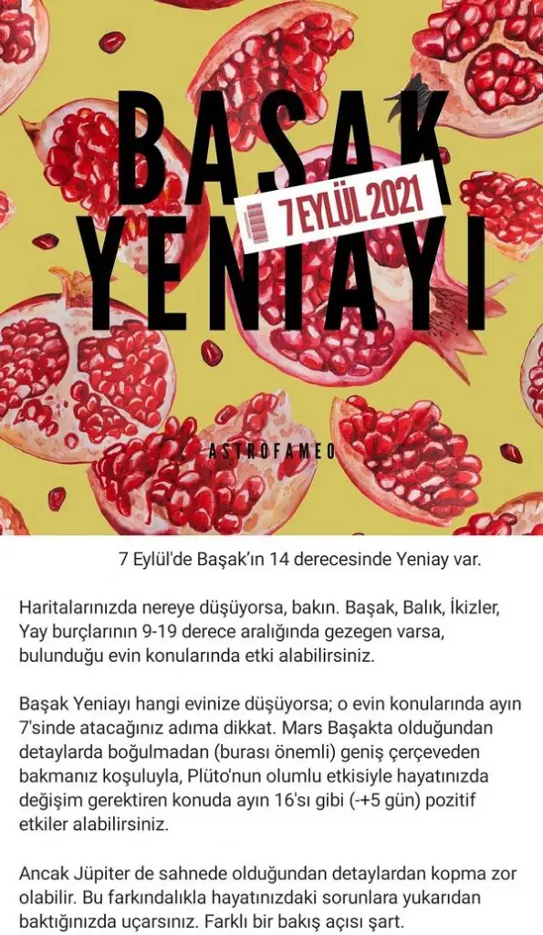 baş1 (1).webp
