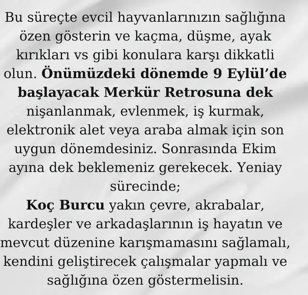 baş2 (5).webp