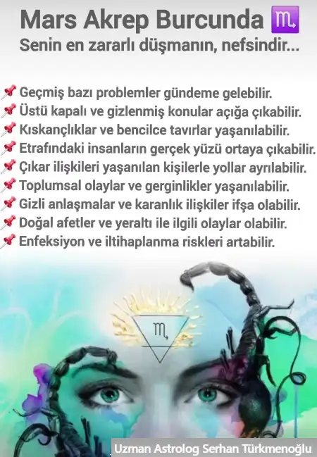 bas3 (1).webp