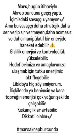 bas3 (1).webp