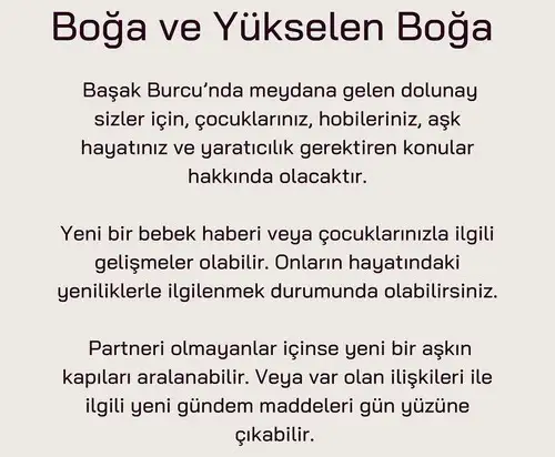 baş4 (3).webp