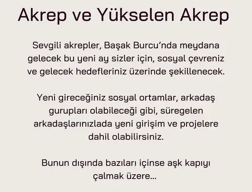 baş4 (9).webp