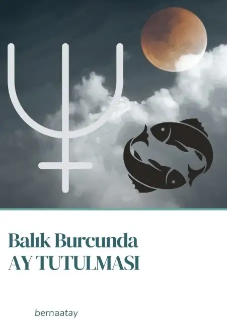 basak (2).webp