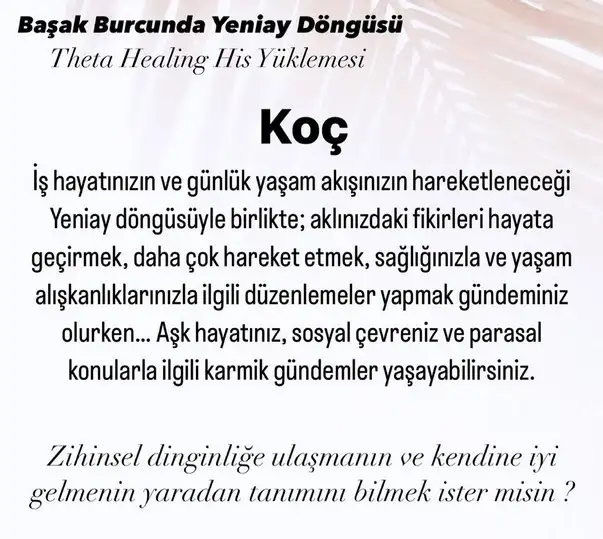 başak0 (1).webp