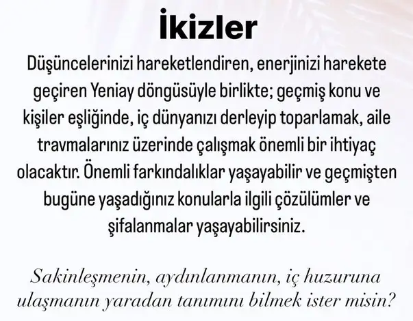 başak0 (3).webp