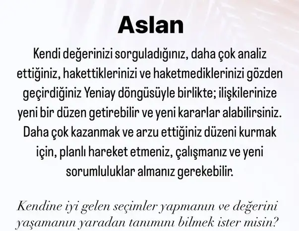 başak0 (5).webp