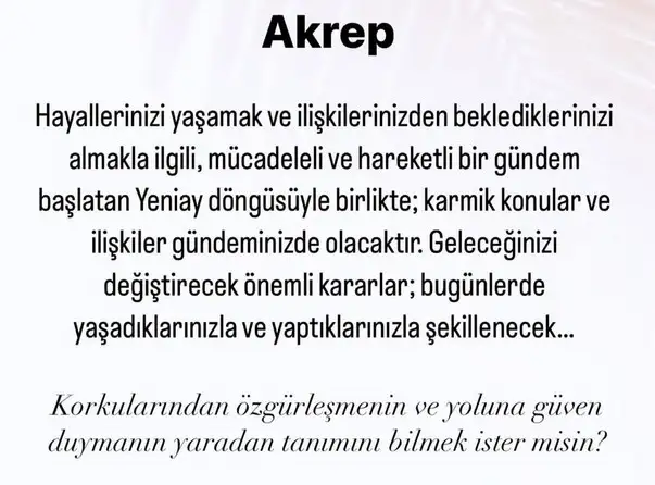 başak0 (8).webp