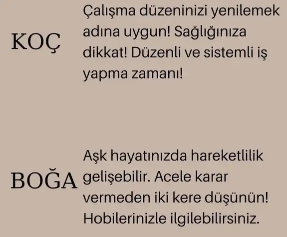 başak1 (1).webp