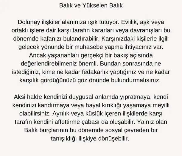 başak1 (13).webp
