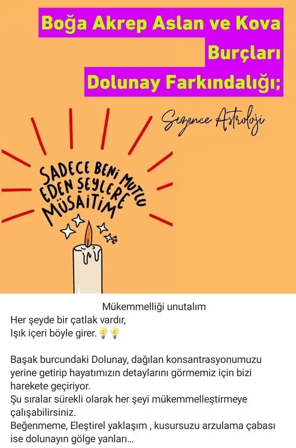 başak1 (2).webp