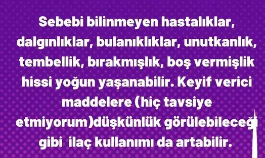 başak1 (2).webp