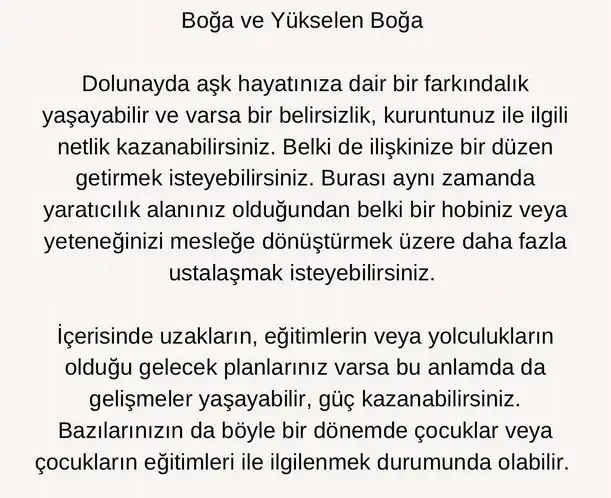 başak1 (3).webp