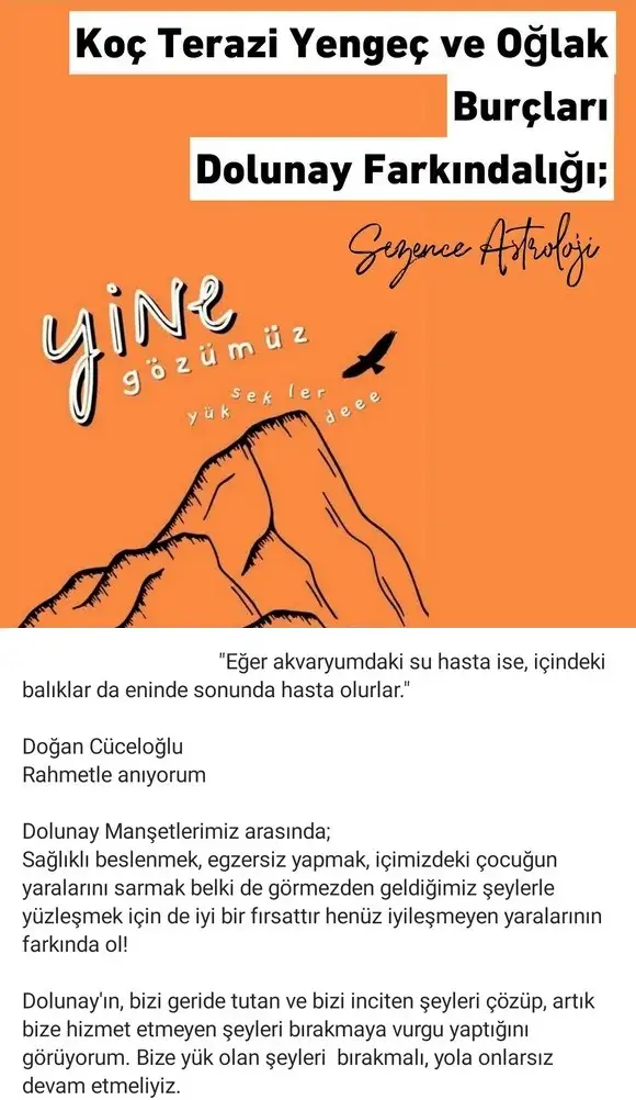 başak1 (3).webp