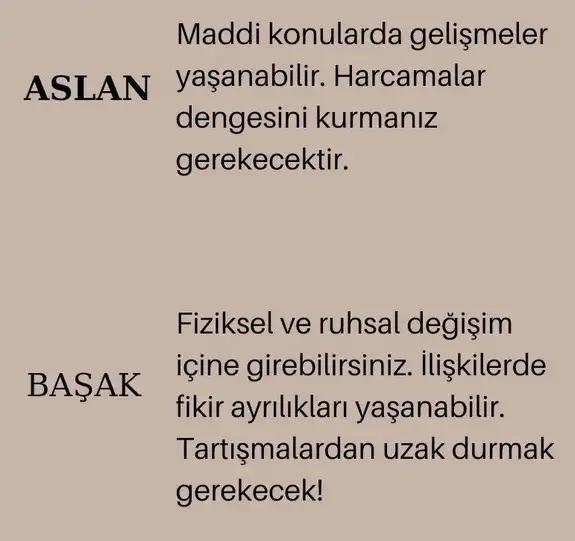 başak1 (3).webp