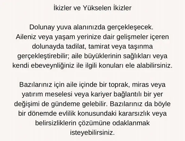 başak1 (4).webp