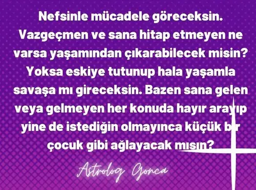 başak1 (4).webp
