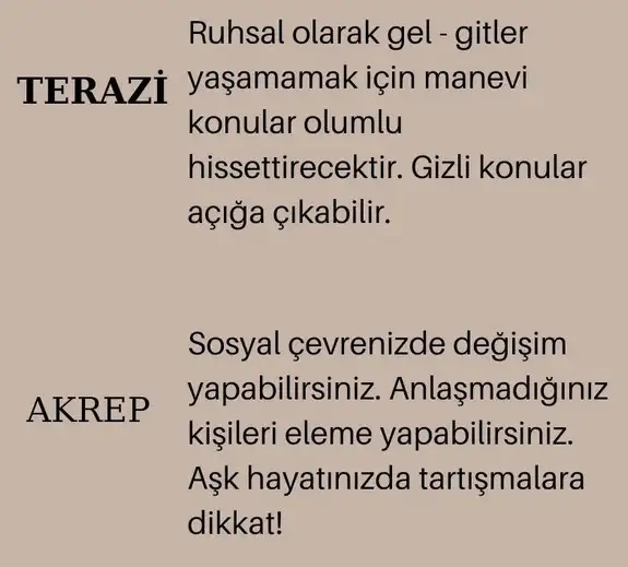 başak1 (4).webp