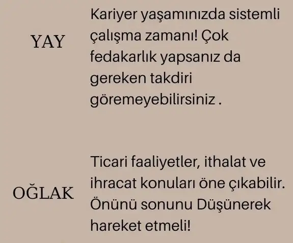 başak1 (5).webp