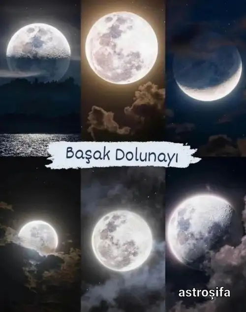 başak10 (1).webp