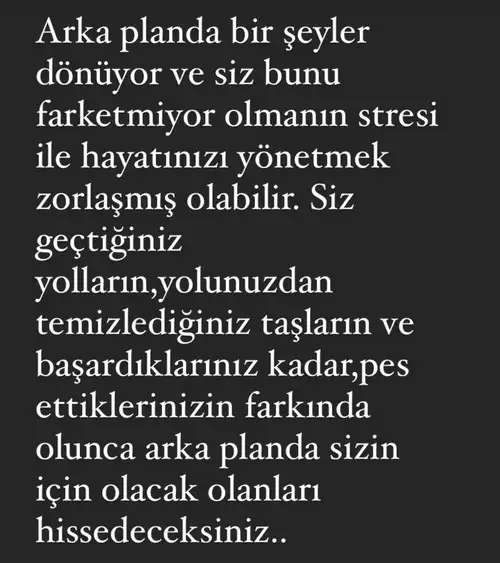 başak10 (1).webp