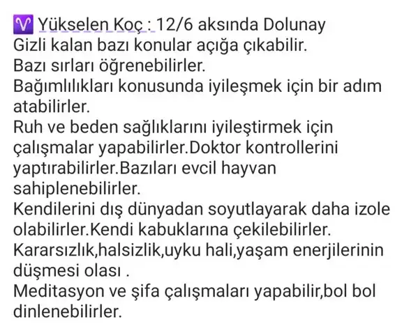 başak10 (2).webp