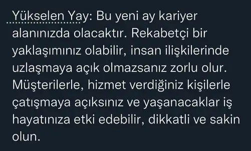 başak10 (5).webp
