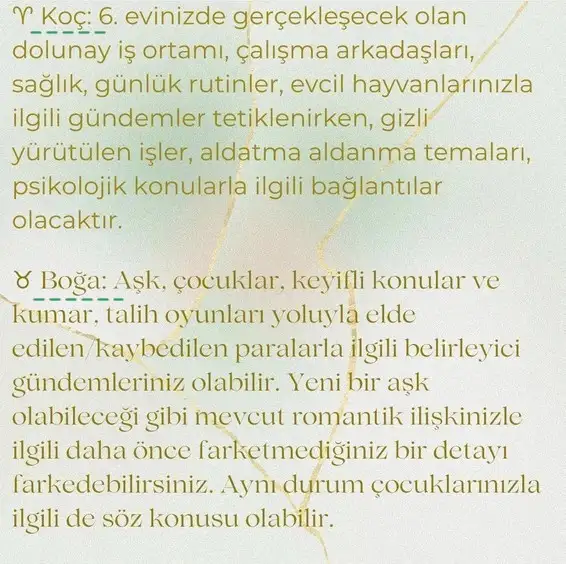 başak11 (2).webp