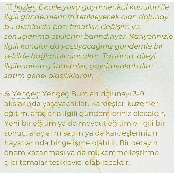 başak11 (3).webp