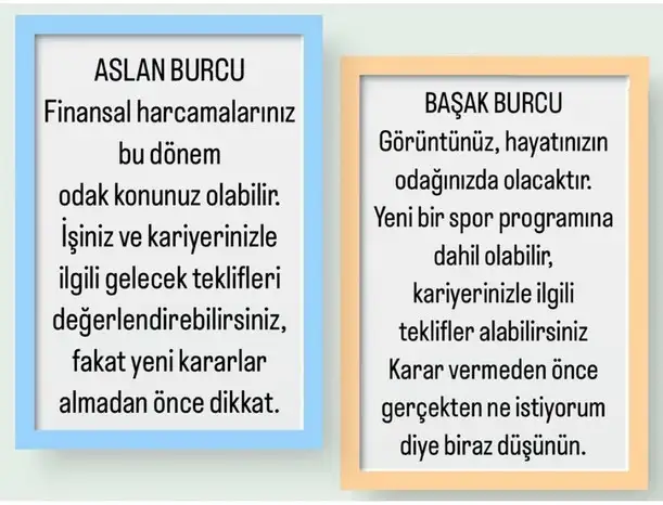 başak11 (3).webp