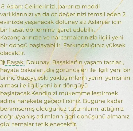 başak11 (4).webp