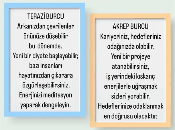 başak11 (4).webp