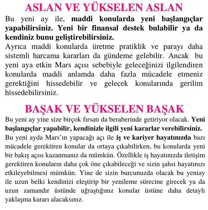başak11 (4).webp