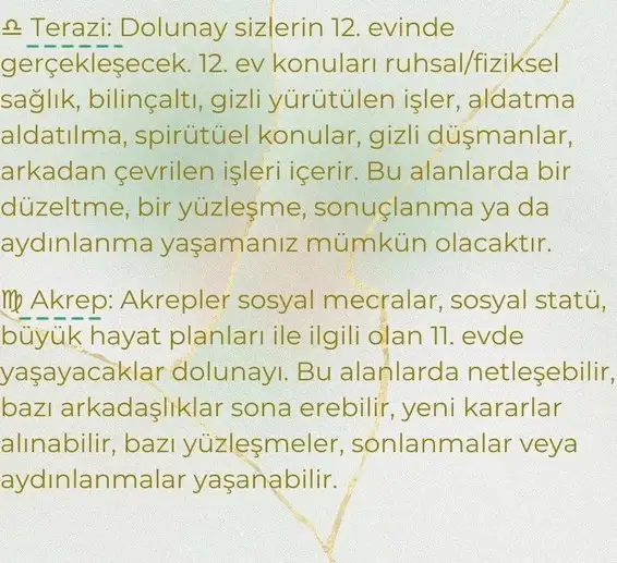 başak11 (5).webp