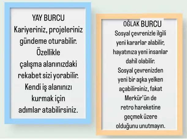 başak11 (5).webp