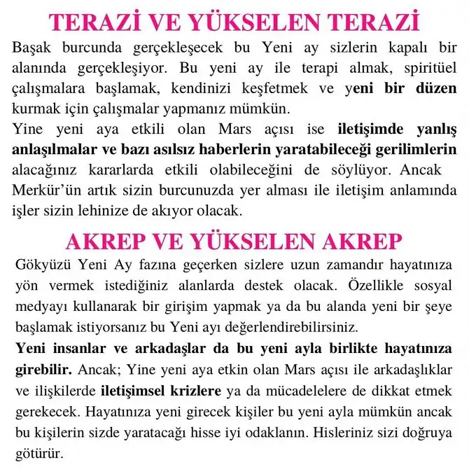 başak11 (5).webp