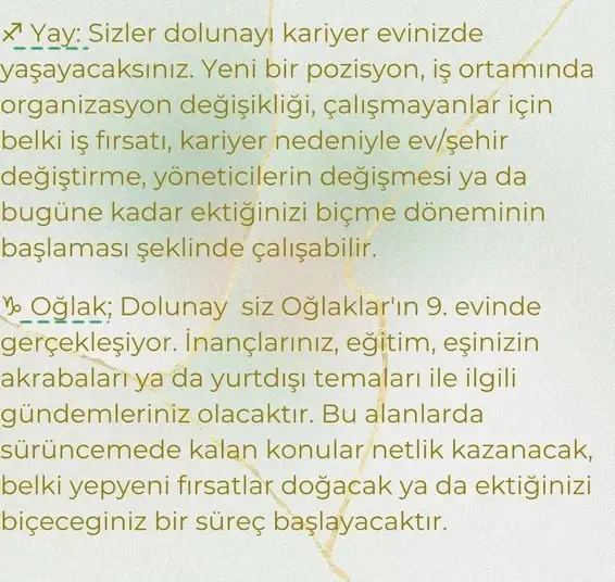 başak11 (6).webp