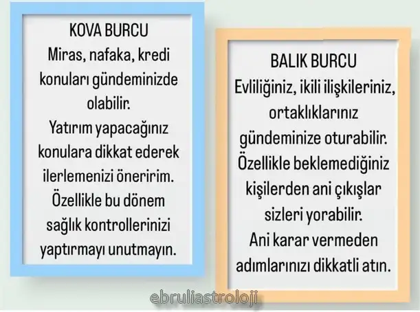 başak11 (6).webp
