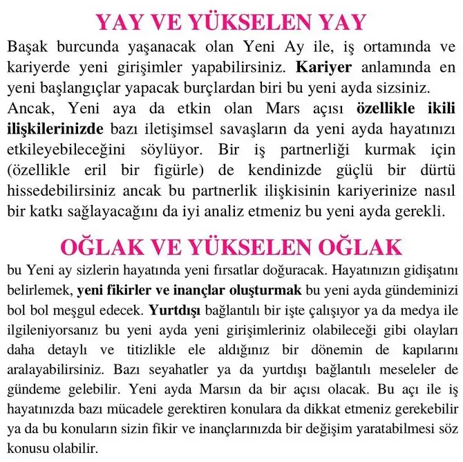 başak11 (6).webp