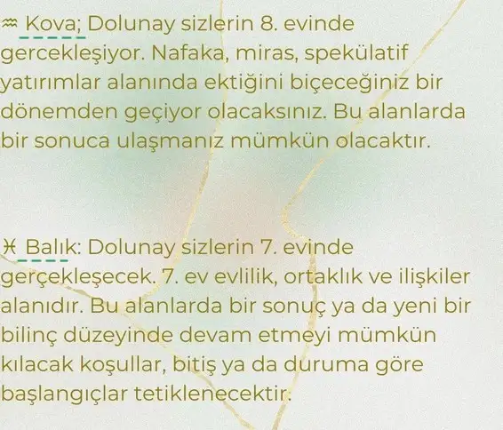 başak11 (7).webp
