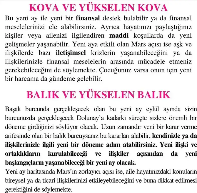 başak11 (7).webp