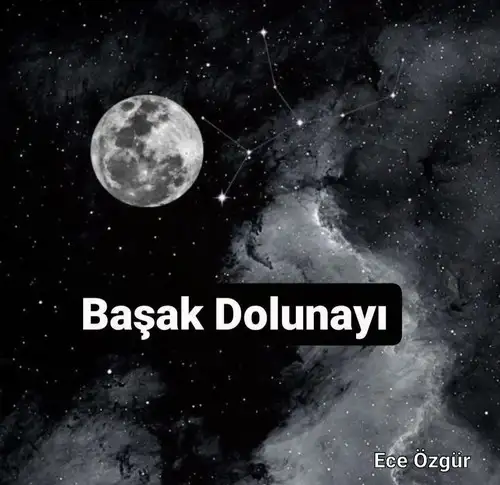 başak12 (1).webp